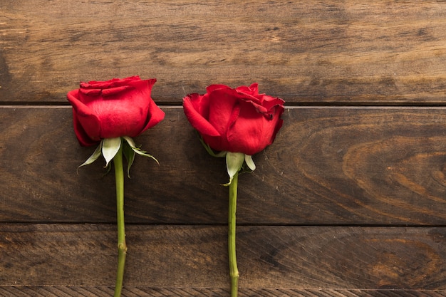 Beautiful fresh red blooms