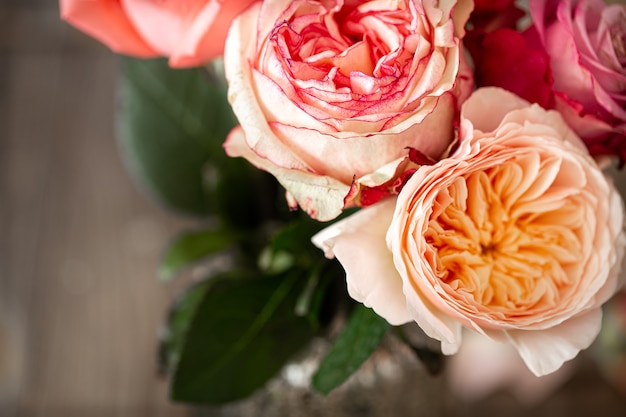 Beautiful fresh roses of different colors close-up, floral background.