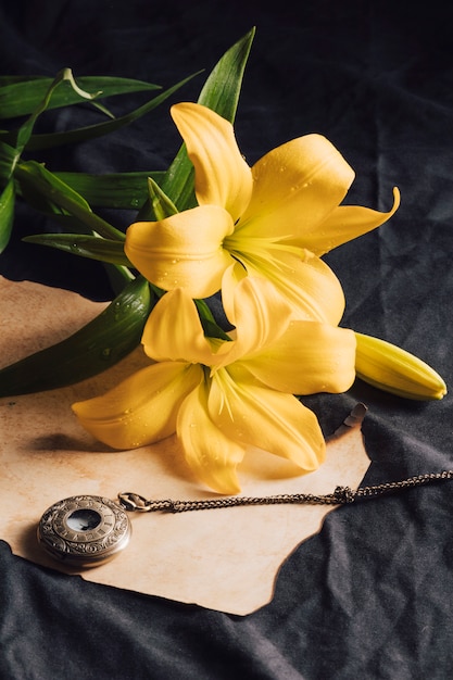 Beautiful fresh yellow blooms in dew near craft paper and old pocket watch