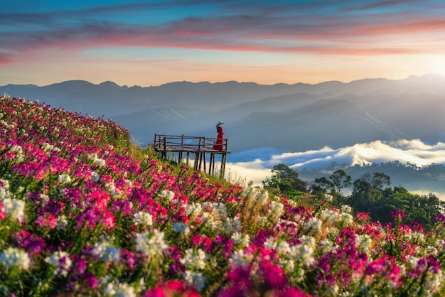 Free photo beautiful girl enjoying at flowers fields and sunrise viewpoint in tak province