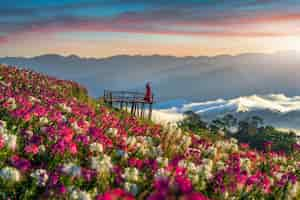 Free photo beautiful girl enjoying at flowers fields and sunrise viewpoint in tak province