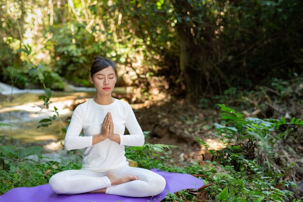 Beautiful girls are playing yoga at the park