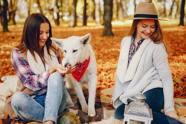 Beautiful girls have fun in a autumn park