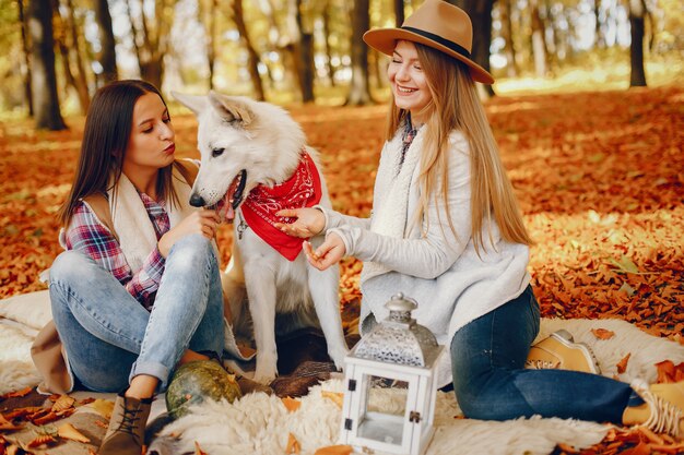 Beautiful girls have fun in a autumn park