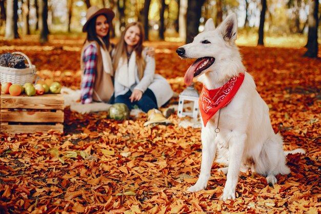 Beautiful girls have fun in a autumn park