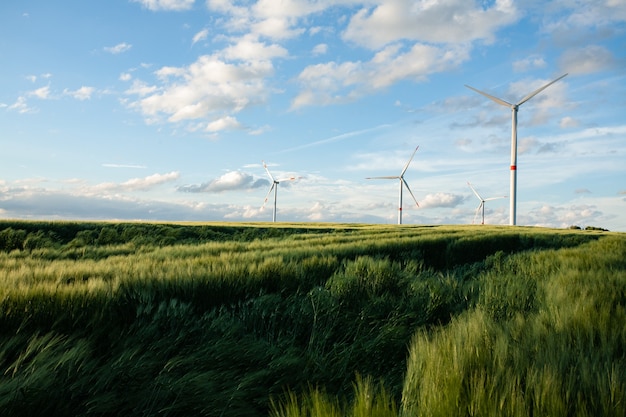 Free Photo beautiful grassy field with windmills in the distance under a blue sky