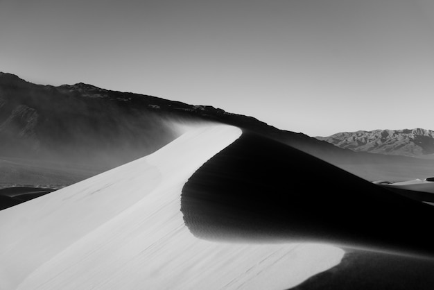 Free Photo beautiful grayscale shot of a desert