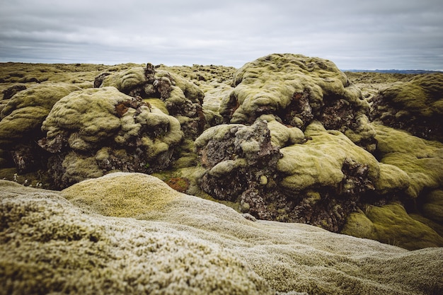 Beautiful green hills and fields of Iceland