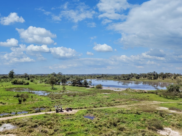 Free Photo beautiful green landscape with a marsh under a cloudy sky