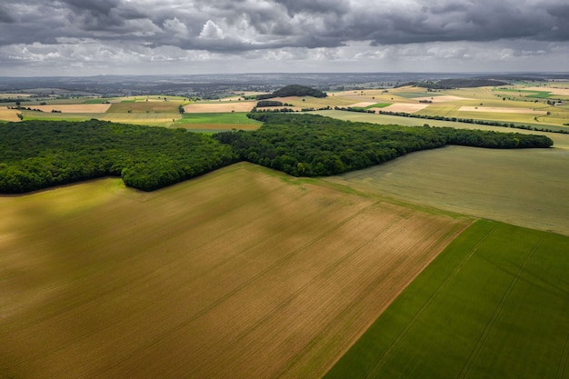 Beautiful green landscape with plantations and trees under a cloudy sky