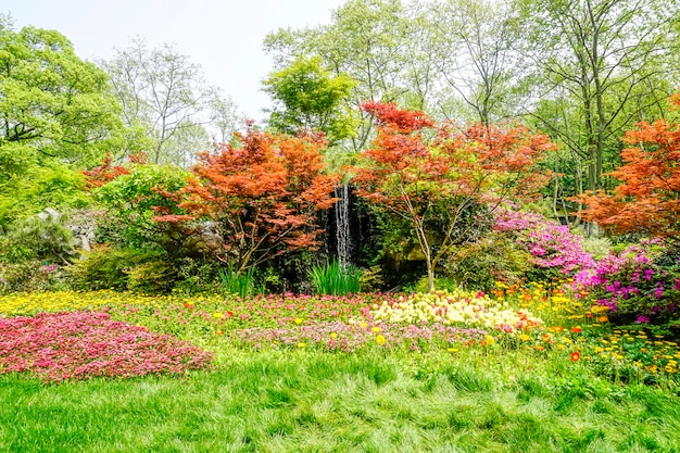 Free photo beautiful green park