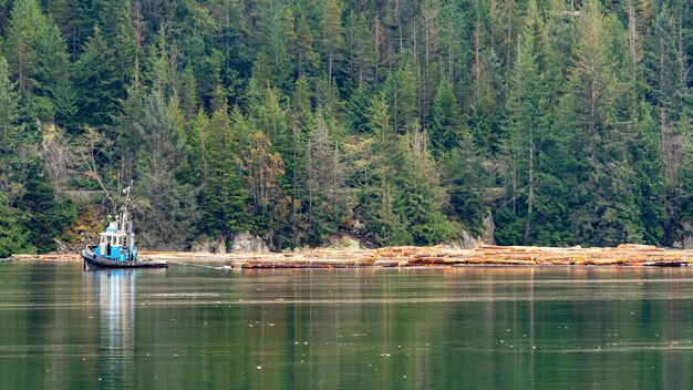 Beautiful green scenery at the lake in Squamish, BC Canada