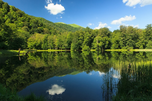 Beautiful the green scenery reflecting in the Gosh Lake, Armenia