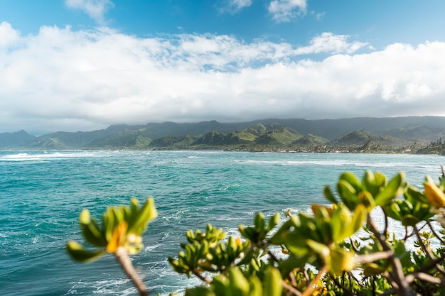 Free photo beautiful hawaii landscape with the blue sea