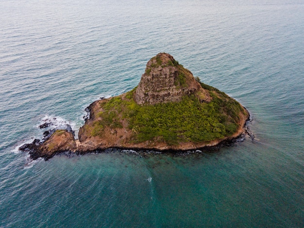 Free Photo beautiful hawaii landscape with ocean