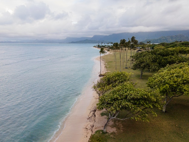 Beautiful hawaii landscape with ocean