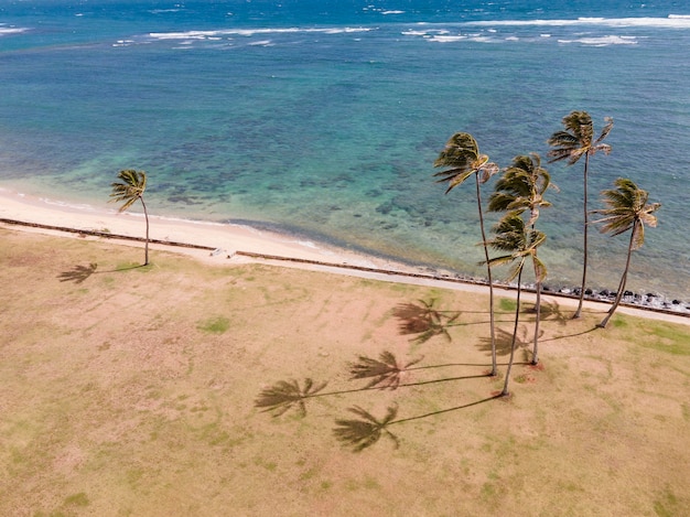 Beautiful hawaii landscape with ocean