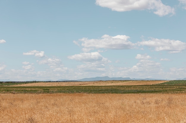 Free photo beautiful hay field in country side