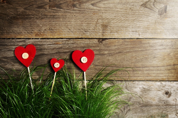 Beautiful Hearts Flowers on Green Grass, Valentine's Day or Love Concept.