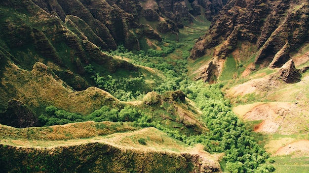 Beautiful high angle shot of the mountain cliffs and trees captured in Kauai, Hawaii