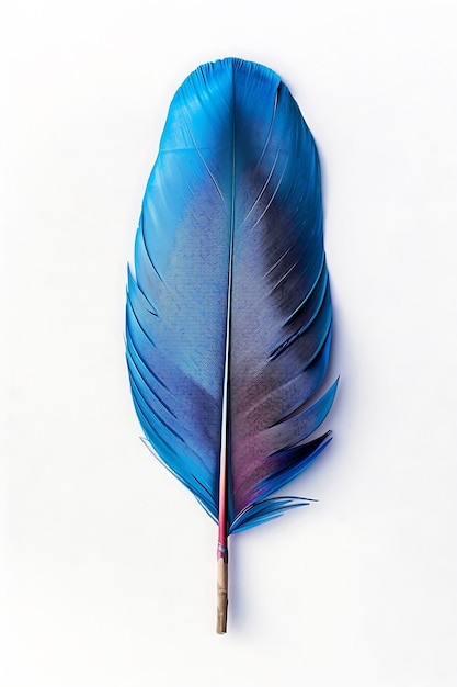 Free photo beautiful isolated feather