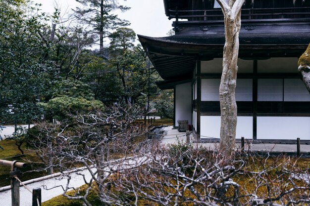 Beautiful japanese garden