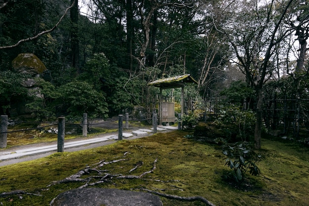 Beautiful japanese garden