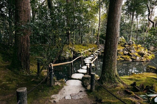 Beautiful japanese garden