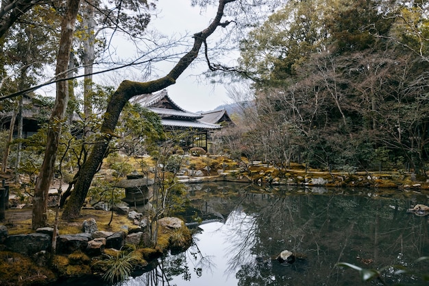 Free photo beautiful japanese garden