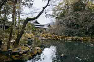 Free photo beautiful japanese garden