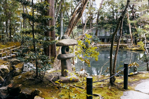 Free Photo beautiful japanese garden