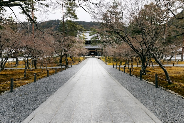 Free photo beautiful japanese garden