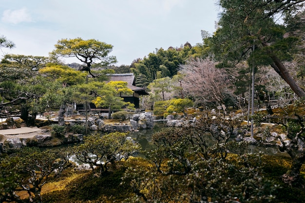 Free photo beautiful japanese garden