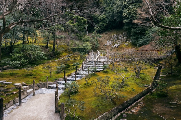 Free photo beautiful japanese garden