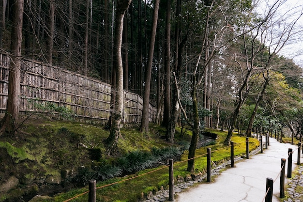 Free photo beautiful japanese garden