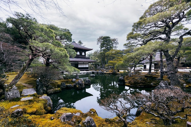 Beautiful japanese garden