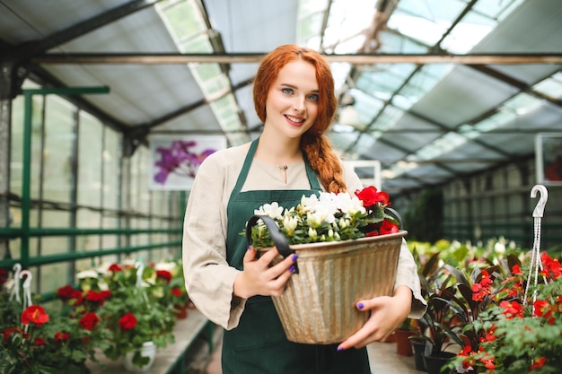 Free Photo beautiful lady in apron standing and holding flowers in metal pot while happily looking in camera in greenhouse