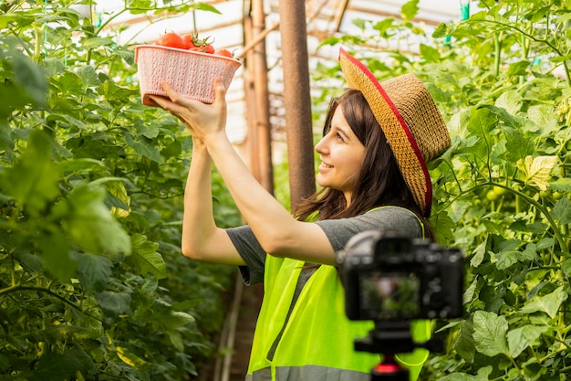 Free photo beautiful lady standing in front of the camera and holding tomato basket at the greenhouse