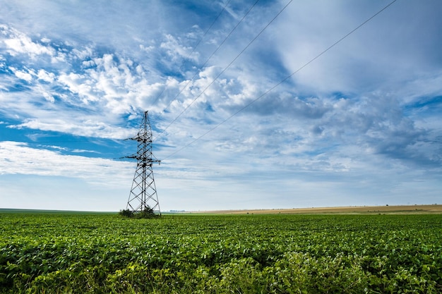 Free photo beautiful landscape of green field and cloudy sky