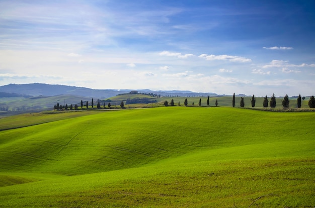 Free Photo beautiful landscape of green rolling hills beside a road with trees under a clear blue sky