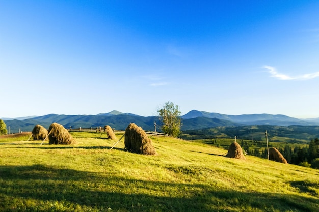 Free Photo beautiful landscape of haystacks in field