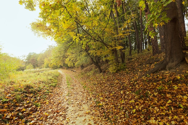 Beautiful landscape of mother nature