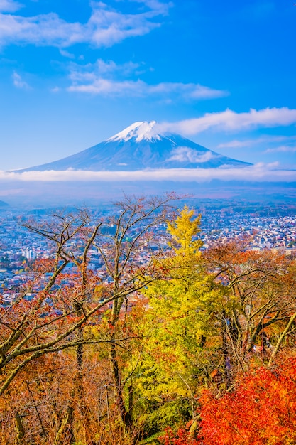 Beautiful landscape of mountain fuji around maple leaf tree in autumn season