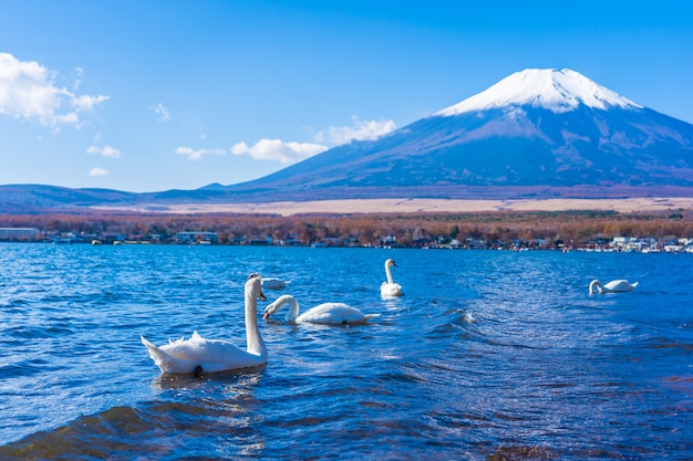 Beautiful landscape of mountain fuji around yamanakako lake