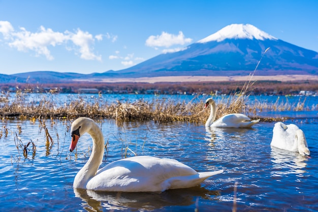 Beautiful landscape of mountain fuji around yamanakako lake