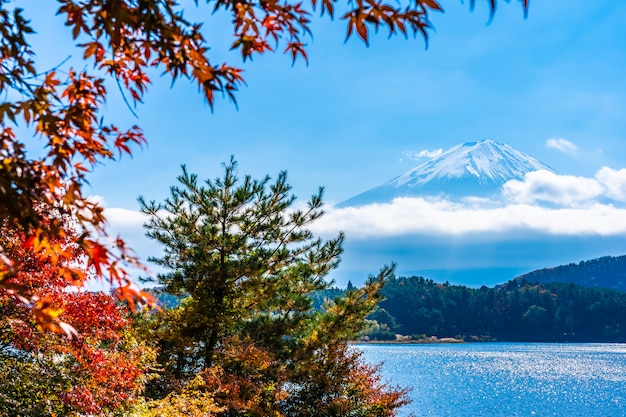 Beautiful landscape of mountain fuji 