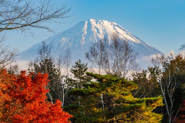 Beautiful landscape of mountain fuji 