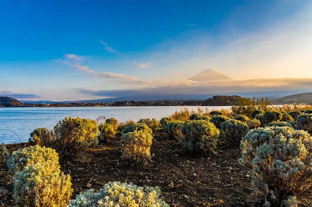 Beautiful landscape of mountain fuji 