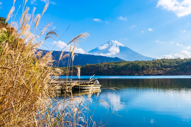 Beautiful landscape of mountain fuji 