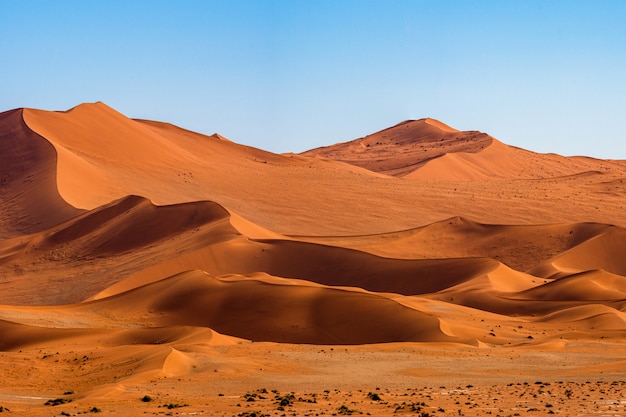 Beautiful landscape of orange sand dune orange sand at Namib desert in Namib-Naukluft national park Sossusvlei in Namibia.